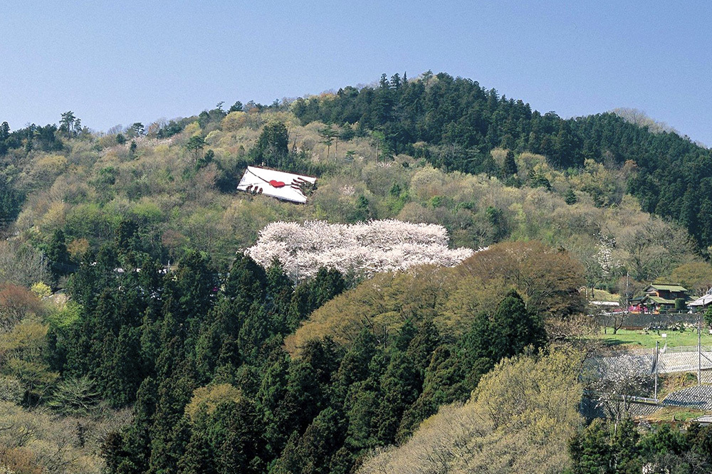 SDGsへの取り組み